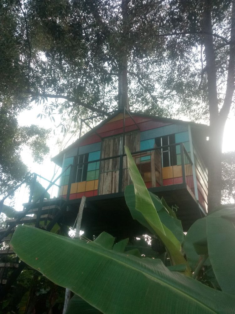 The Birdhouse — Phu Quoc — photo 3