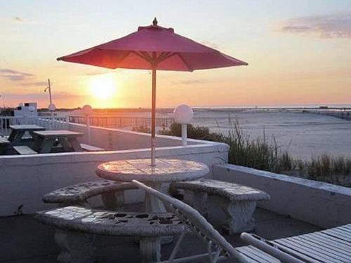 Apollo Resort Motel - photo 14
