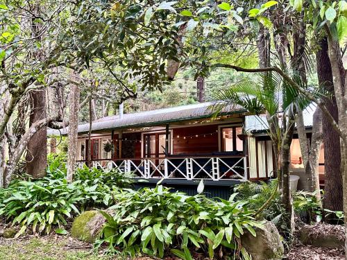 Creekside Rainforest Retreat pet-friendly hotel Lamington