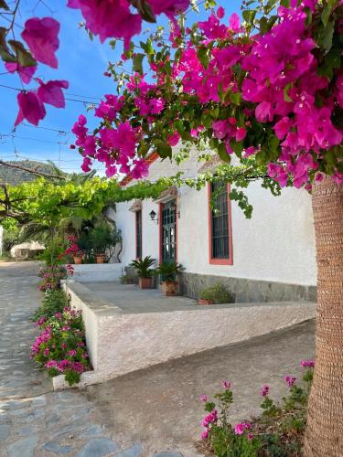Real Fundicion de Alcora - last minute hotel in Canjayar