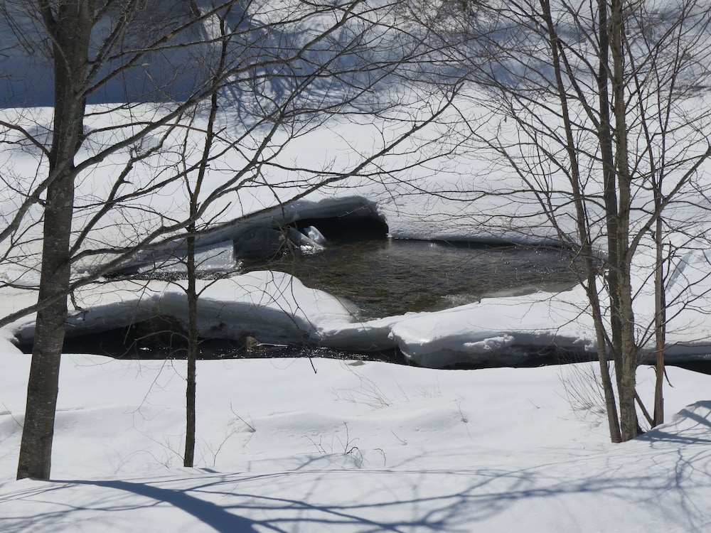Inn at Ellis River - photo 81