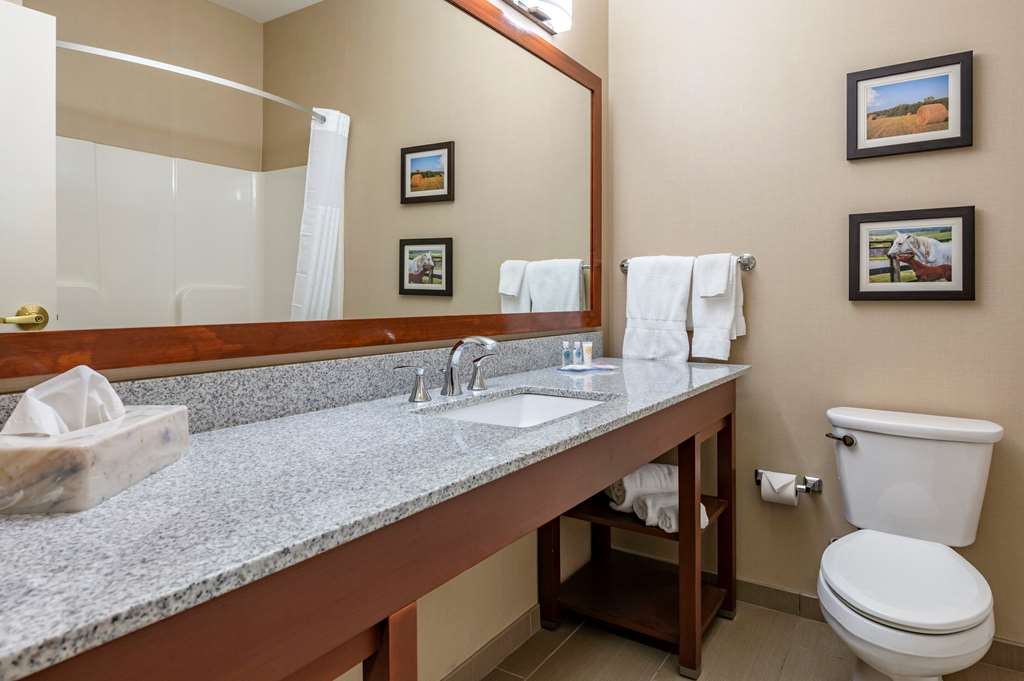 Comfort Inn & Suites Northern Kentucky - photo 5