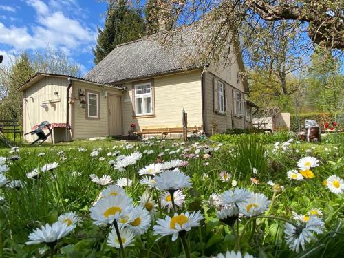 Bezvējš in Jurmala, Latvia