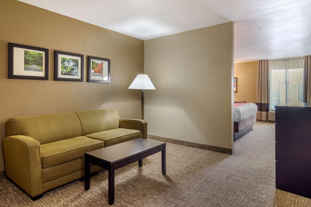Comfort Inn & Suites Perry National Fairgrounds Area - photo 25