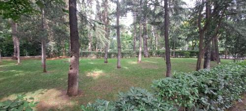 Apartment next to Kikvidze Park