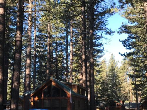 Cedar Pines Resort - photo 26