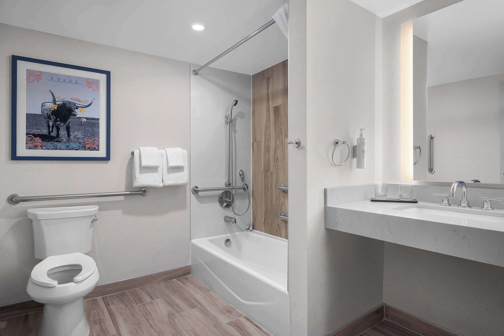 Embassy Suites by Hilton El Paso - photo 41