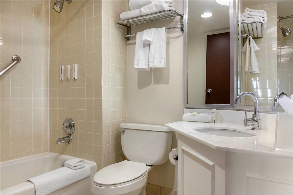 Radisson Hotel Detroit Metro Airport - photo 29