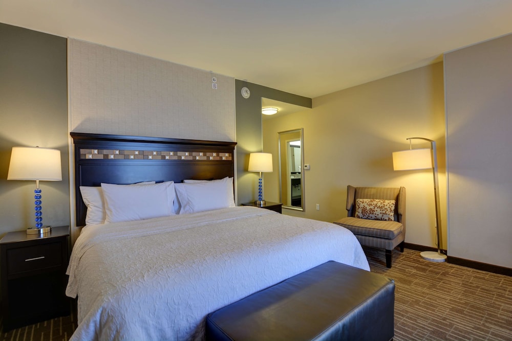 Hampton Inn & Suites Denver Airport Gateway Park - photo 23