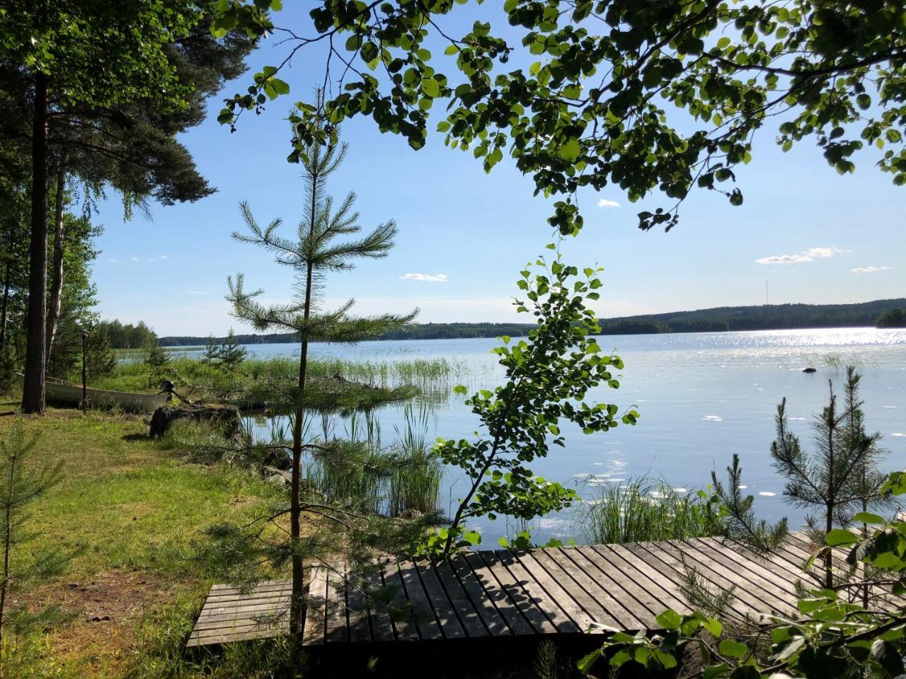 Nenaniemi — Luhanka — photo 5