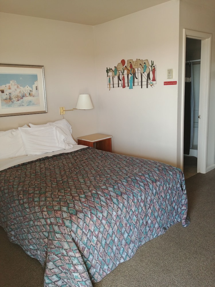 Cactus Inn - photo 4