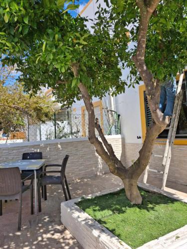 Flor de Laranjeira in Mertola, Portugal