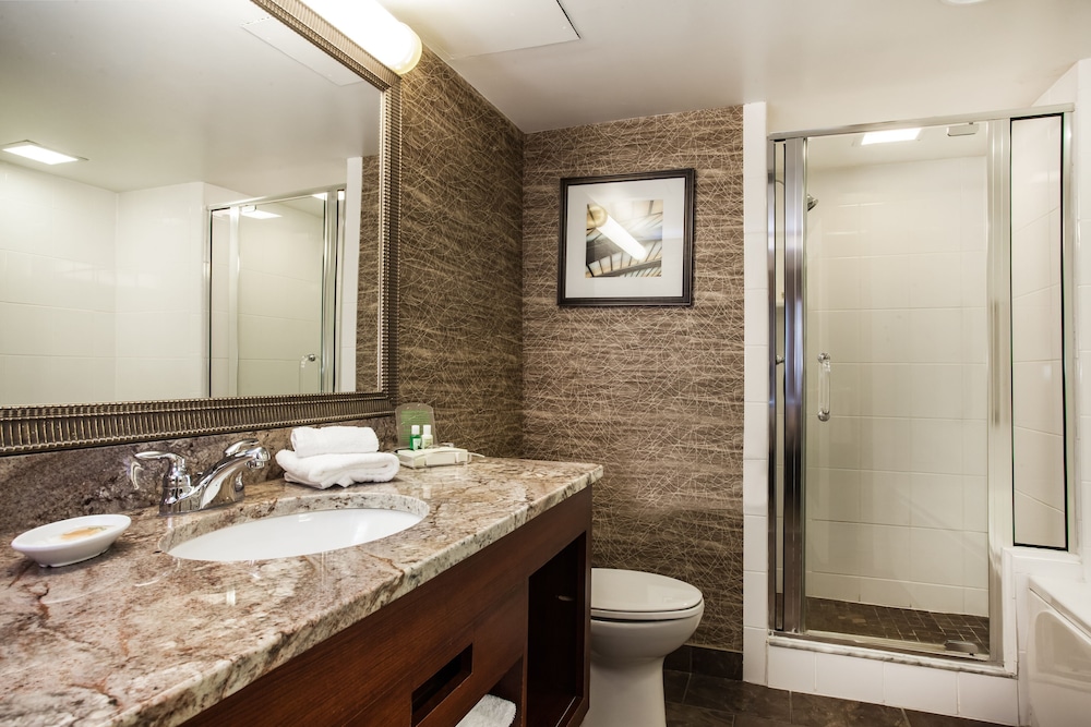 Holiday Inn Saratoga Springs by IHG - photo 24