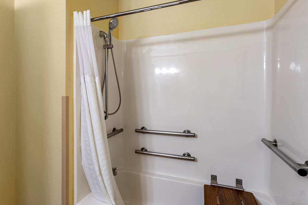 Comfort Inn & Suites North Aurora Naperville - photo 5