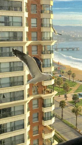 Primera línea Viña del Mar ByHospédate — 4-Star Luxury Hotel in Vina Del Mar, Chile