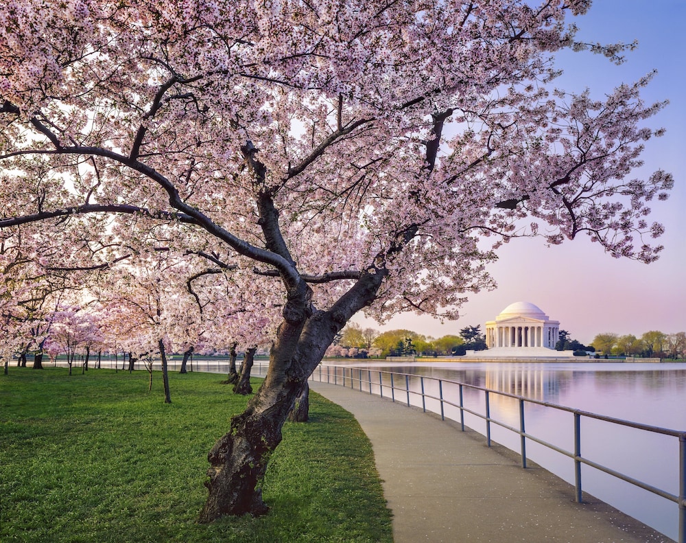 Kimpton Hotel Monaco Washington DC by IHG - photo 67
