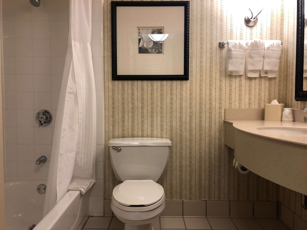 Hilton Garden Inn Addison - photo 16