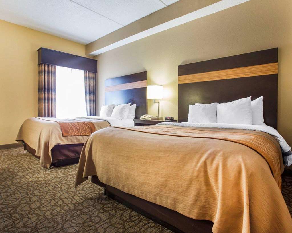 Comfort Inn & Suites at Stone Mountain - photo 20