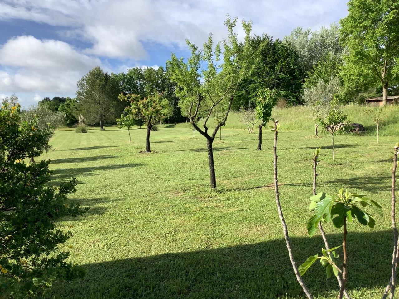 Provence Luberon — Unknown City — photo 4