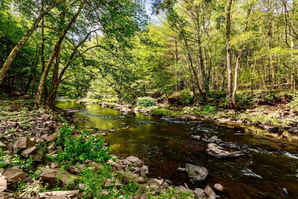 Couple s Oasis Pool Stream Firepit Steam Room — hotel in Saugerties