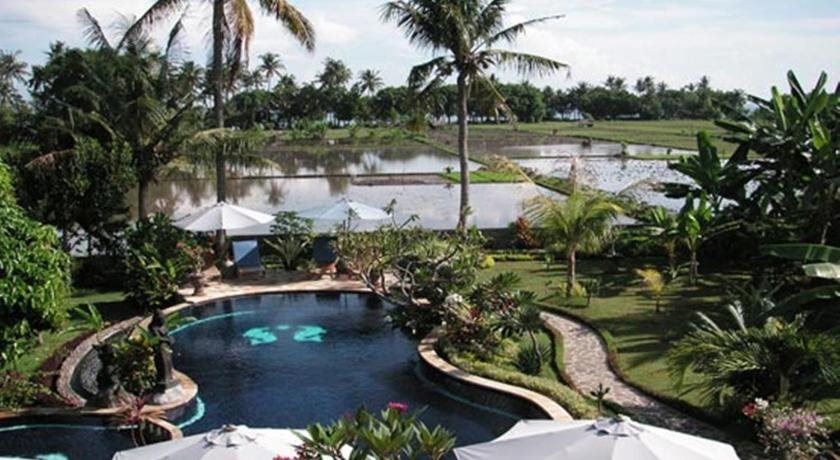 Sawah Lovina in Lovina, Indonesia