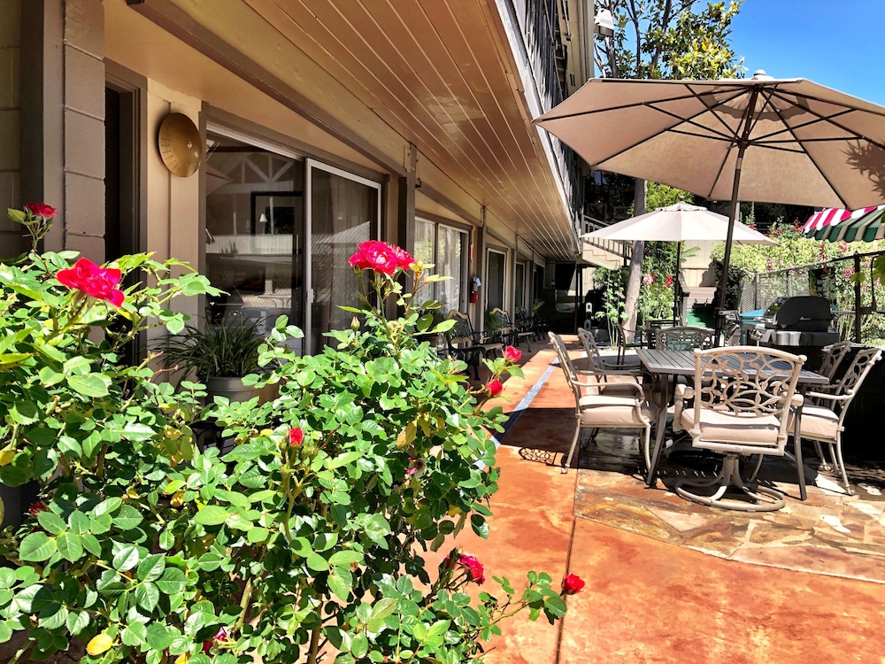 Piazza's Pine Cone Inn - photo 25