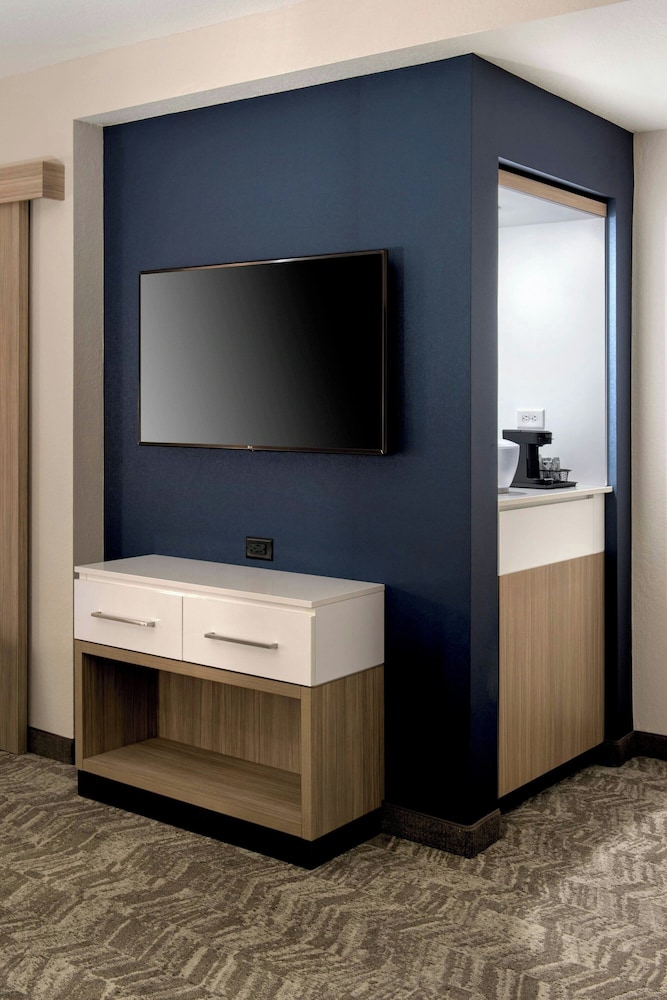SpringHill Suites by Marriott Tampa Suncoast Parkway - photo 6