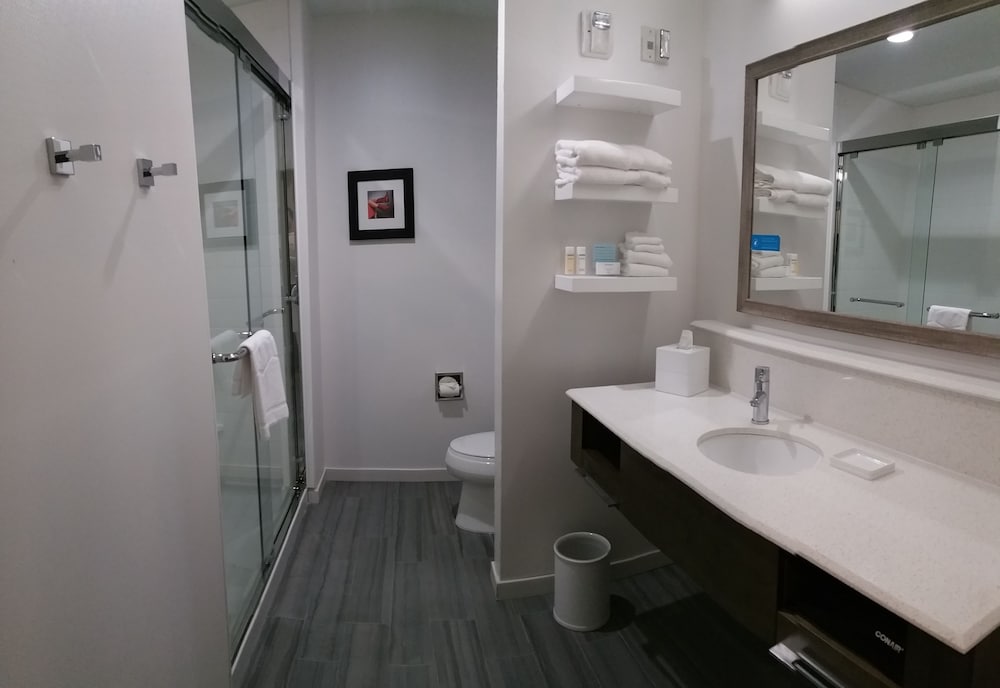 Hampton Inn & Suites Houston Atascocita - photo 60
