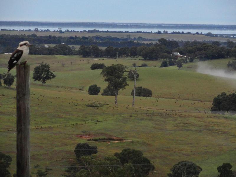 Down to Earth Farm Retreat in Bairnsdale, Australia