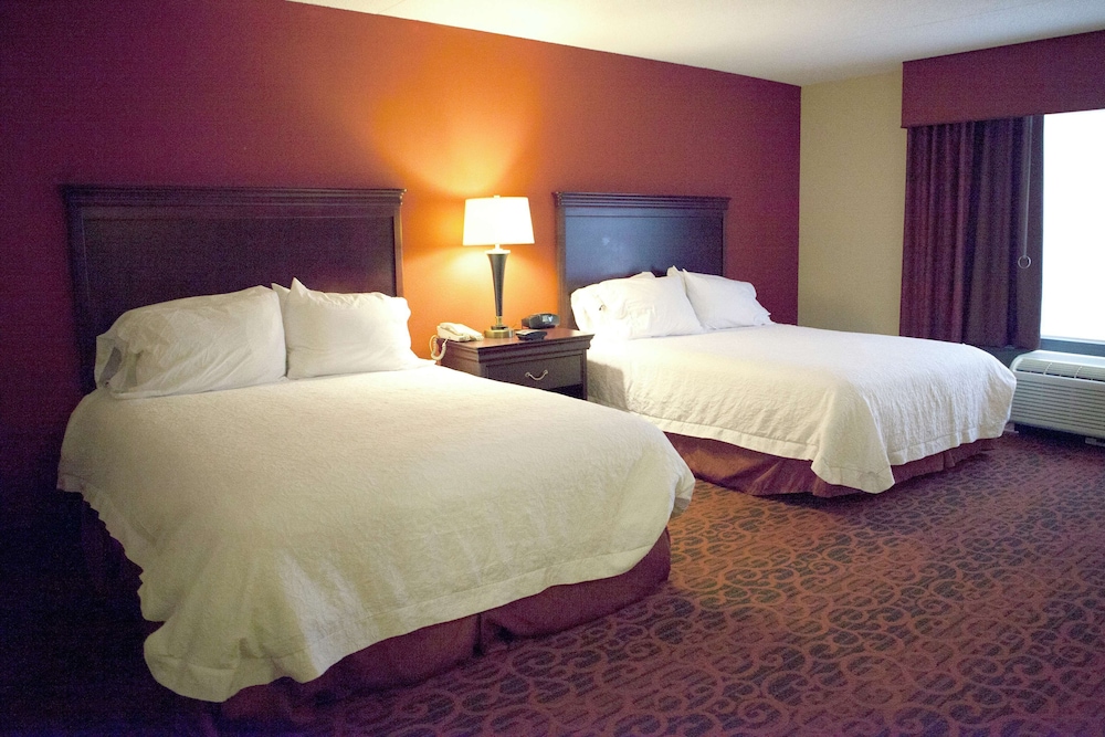 Hampton Inn Rochester Webster - photo 6