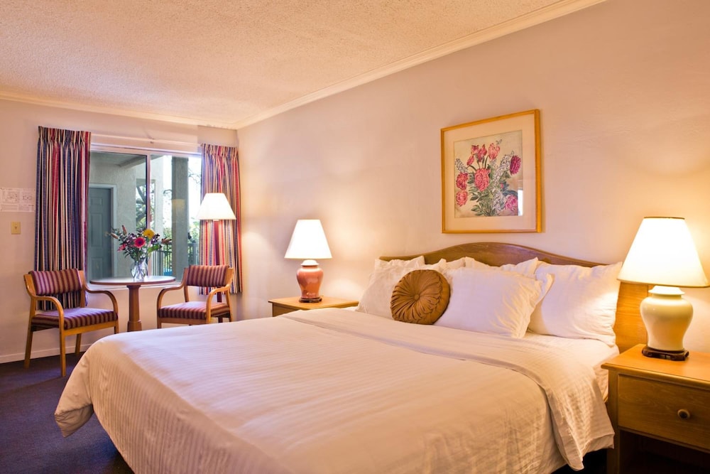 Hotel Buena Vista - photo 11