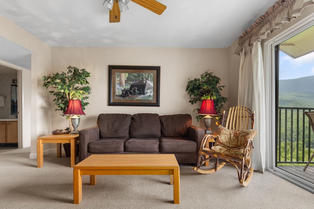 Deer Ridge Mountain Resort by JMR - photo 42