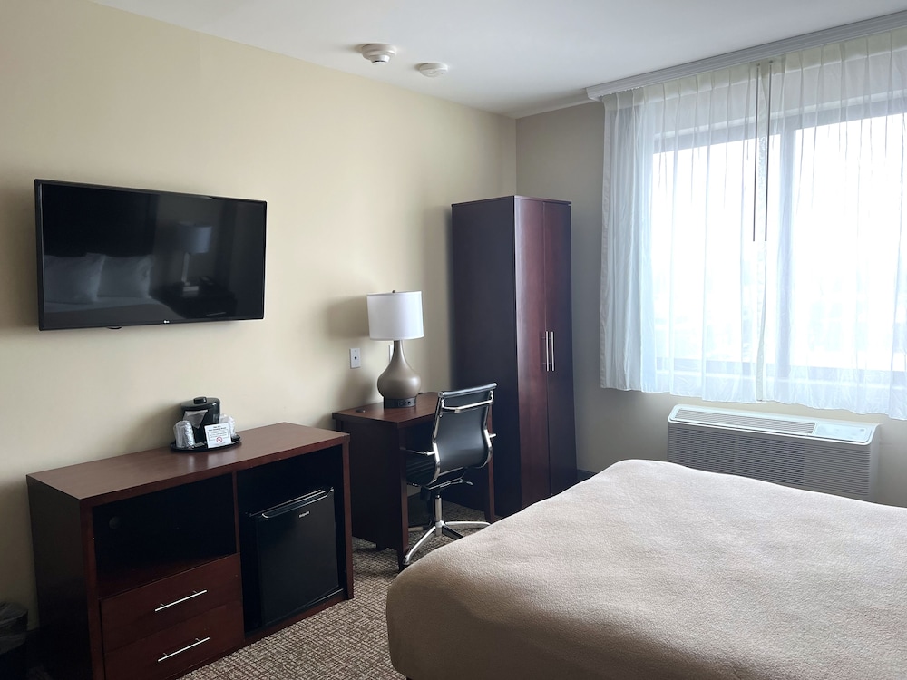 Lotus BLU Inn & Suites - photo 15