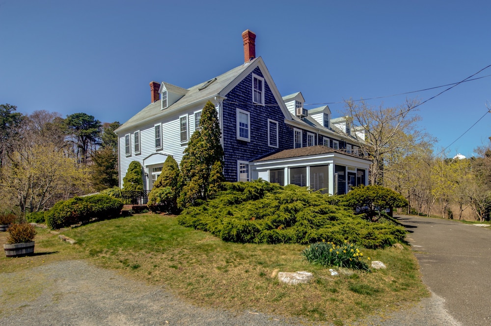 Copper Swan - photo 96