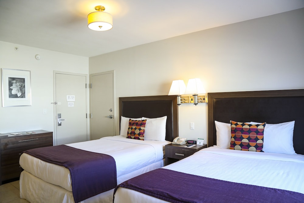 Collins Hotel - photo 13
