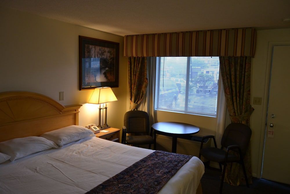 The Ship Motel - photo 7