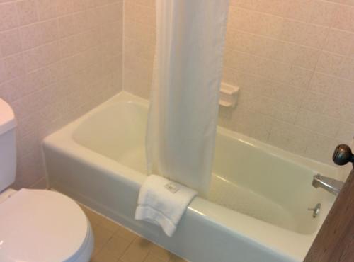 Economy Inn Toledo Perrysburg - photo 10