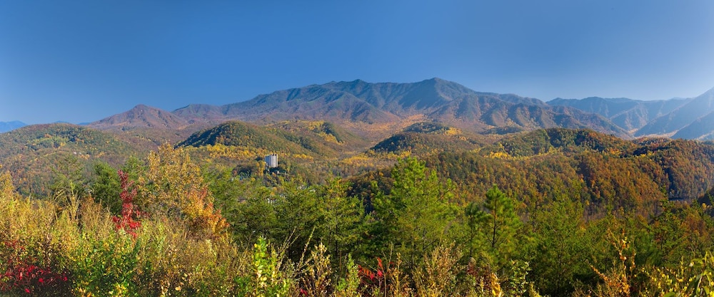The Park Vista a DoubleTree by Hilton Hotel Gatlinburg - photo 54