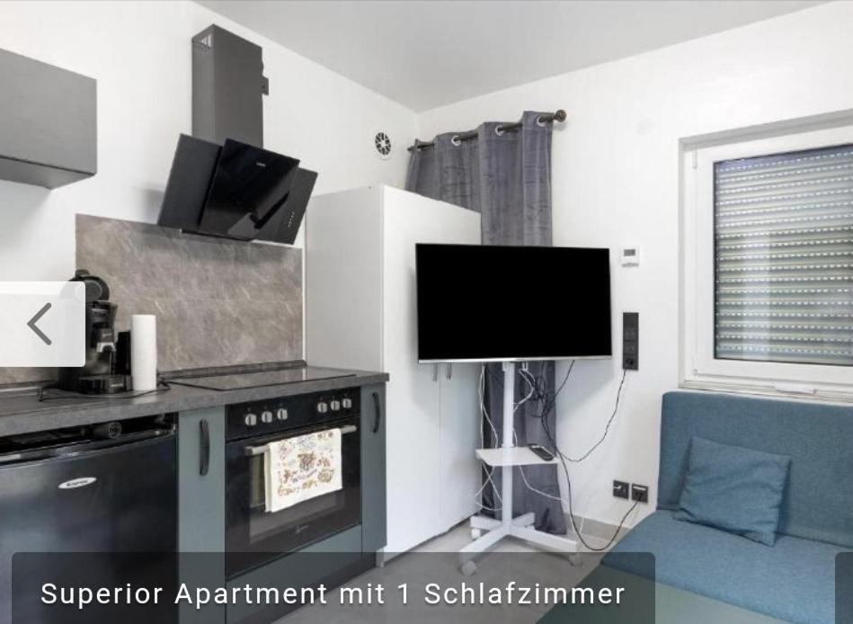 Biberschätzli — Tengen — photo 2