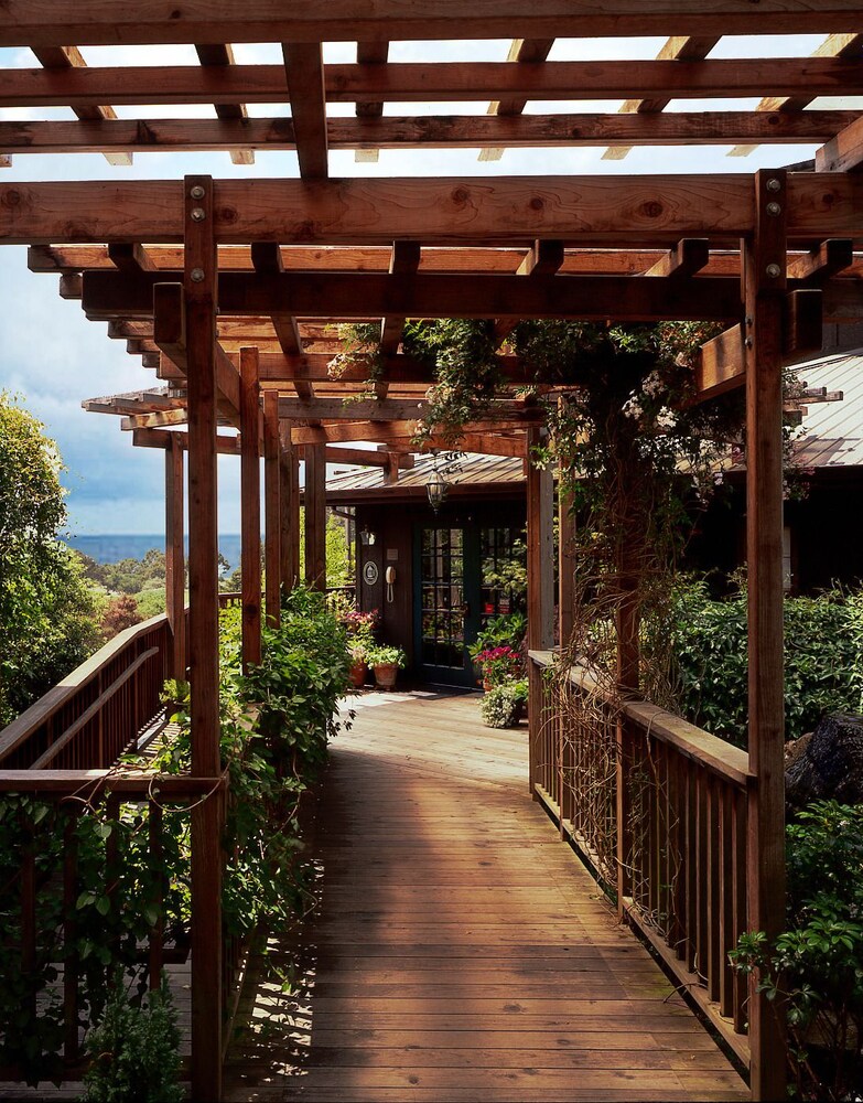 The Stanford Inn By The Sea Eco Resort - photo 71