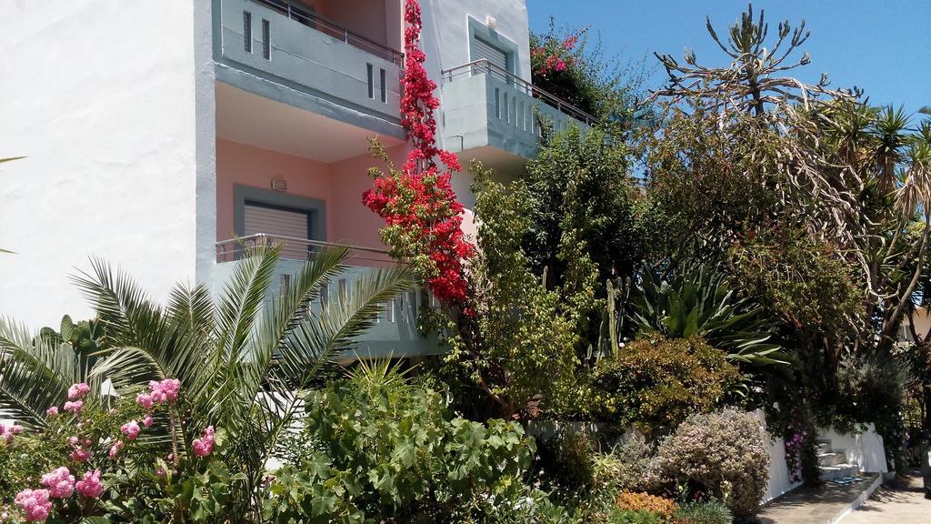Hotel Kleopatra — Agia Marina — photo 3