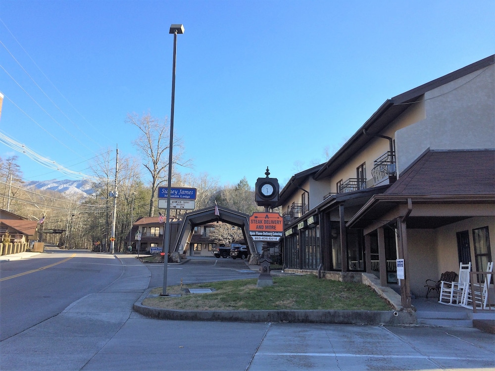 Sidney James Mountain Lodge - photo 74