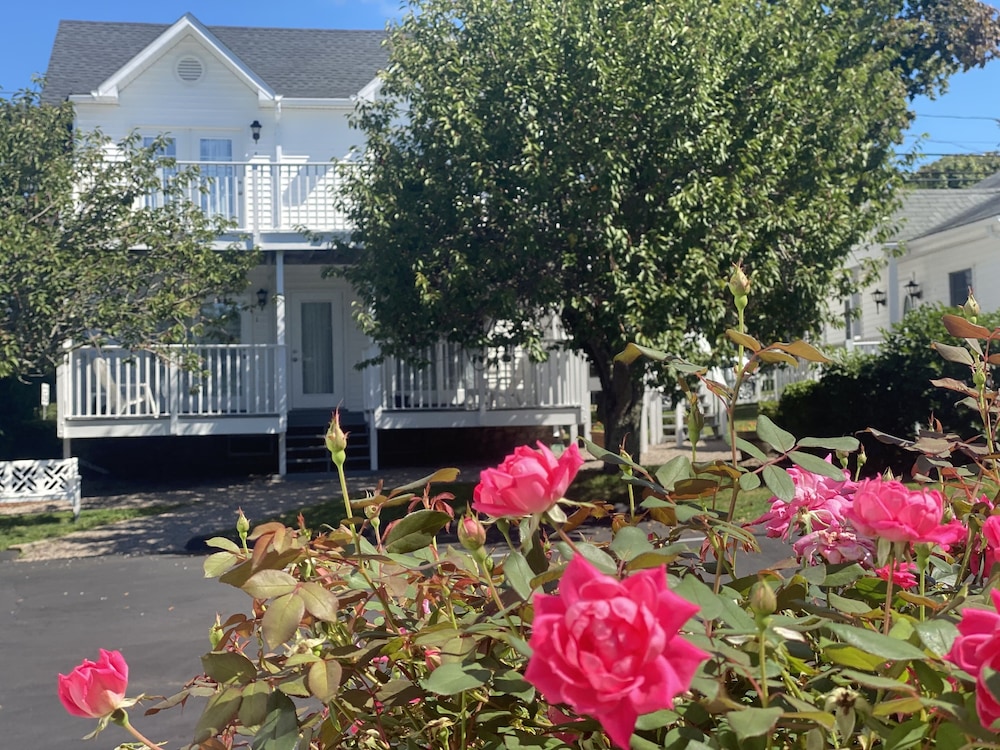 The Taber Inne & Suites - photo 7