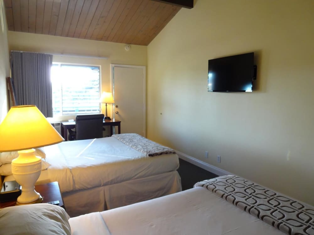 The Presidio - photo 8