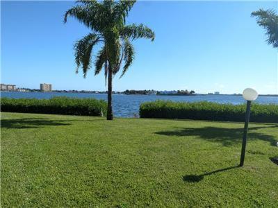 Palma Del Mar E 111 in St. Petersburg, United States