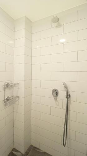 Bright and Cozy Apt in Tbilisi