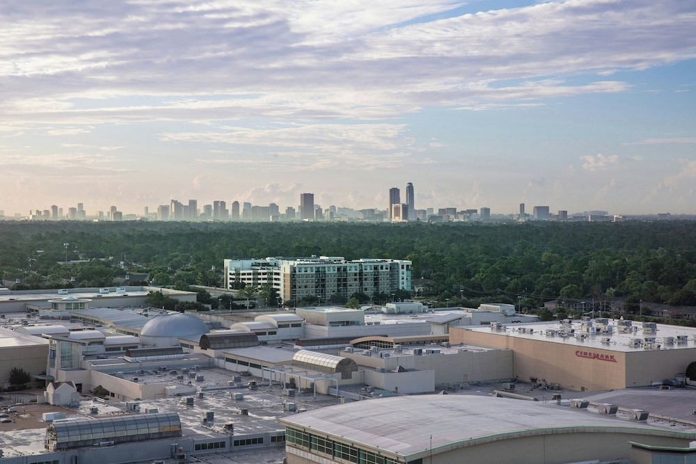The Westin Houston Memorial City - photo 78