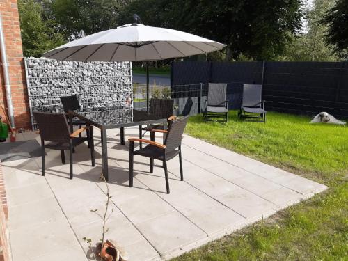 50062 Leev mare in Wittmund, Germany