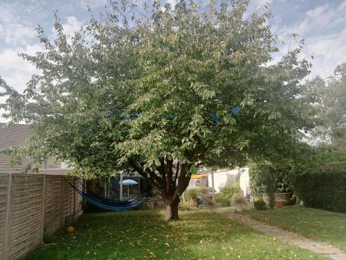 Le Cerisier in Unknown City, France