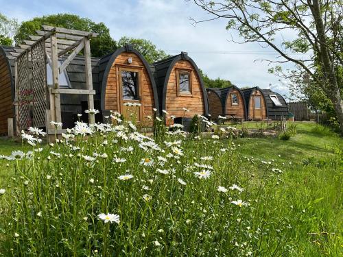 Hedgehog Glamping Pod - last minute hotel in Unknown City